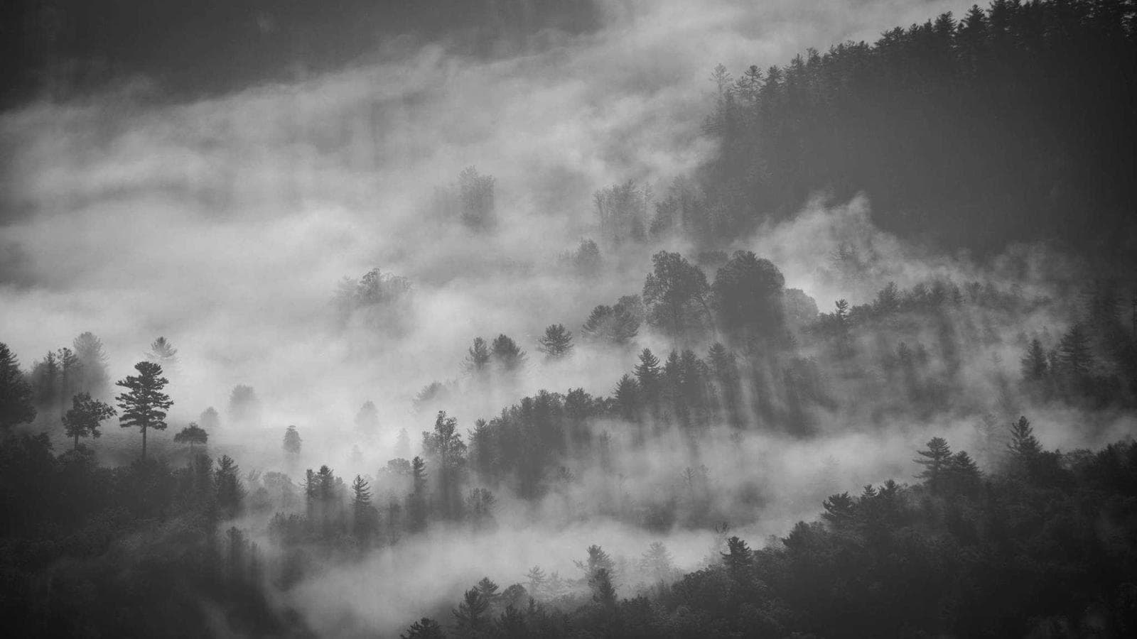 Tips til enkelt regnskap for velforeninger